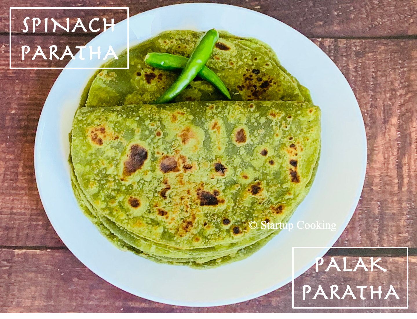 Palak Paratha Recipe Spinach Paratha Recipe Paratha Recipes Startup Cooking 1