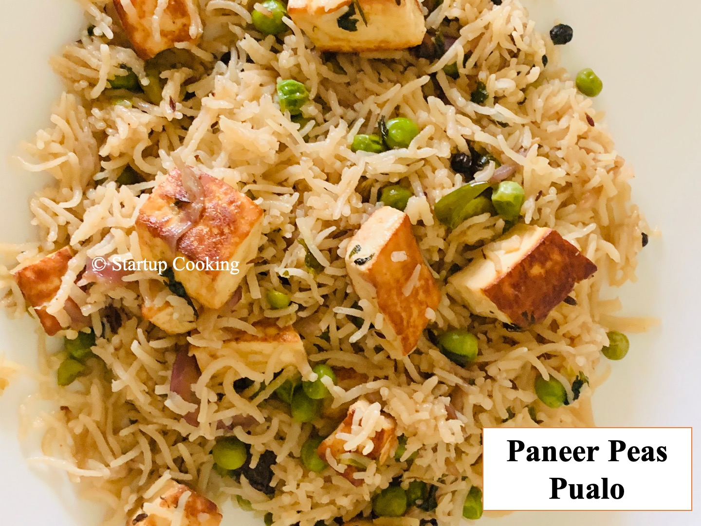 Paneer Peas Pulao Recipe Paneer Pulao Startup Cooking 1