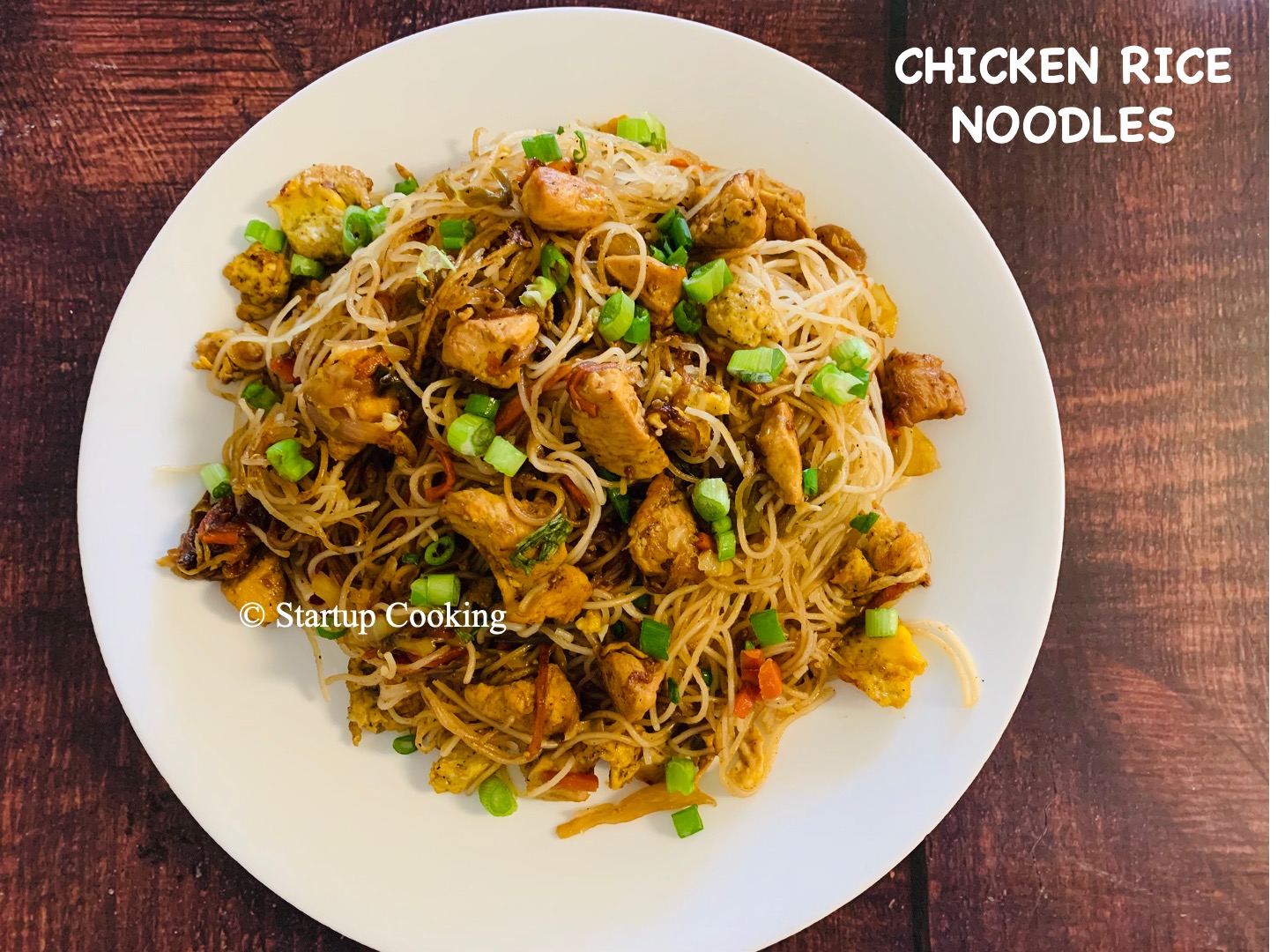 Chicken Rice Noodles Recipe Singapore Chicken Noodles Startup Cooking 1