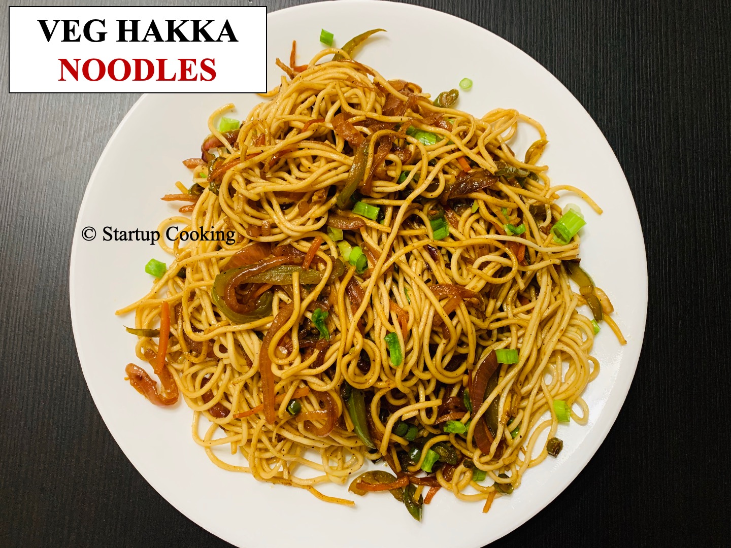 veg Hakka Noodles