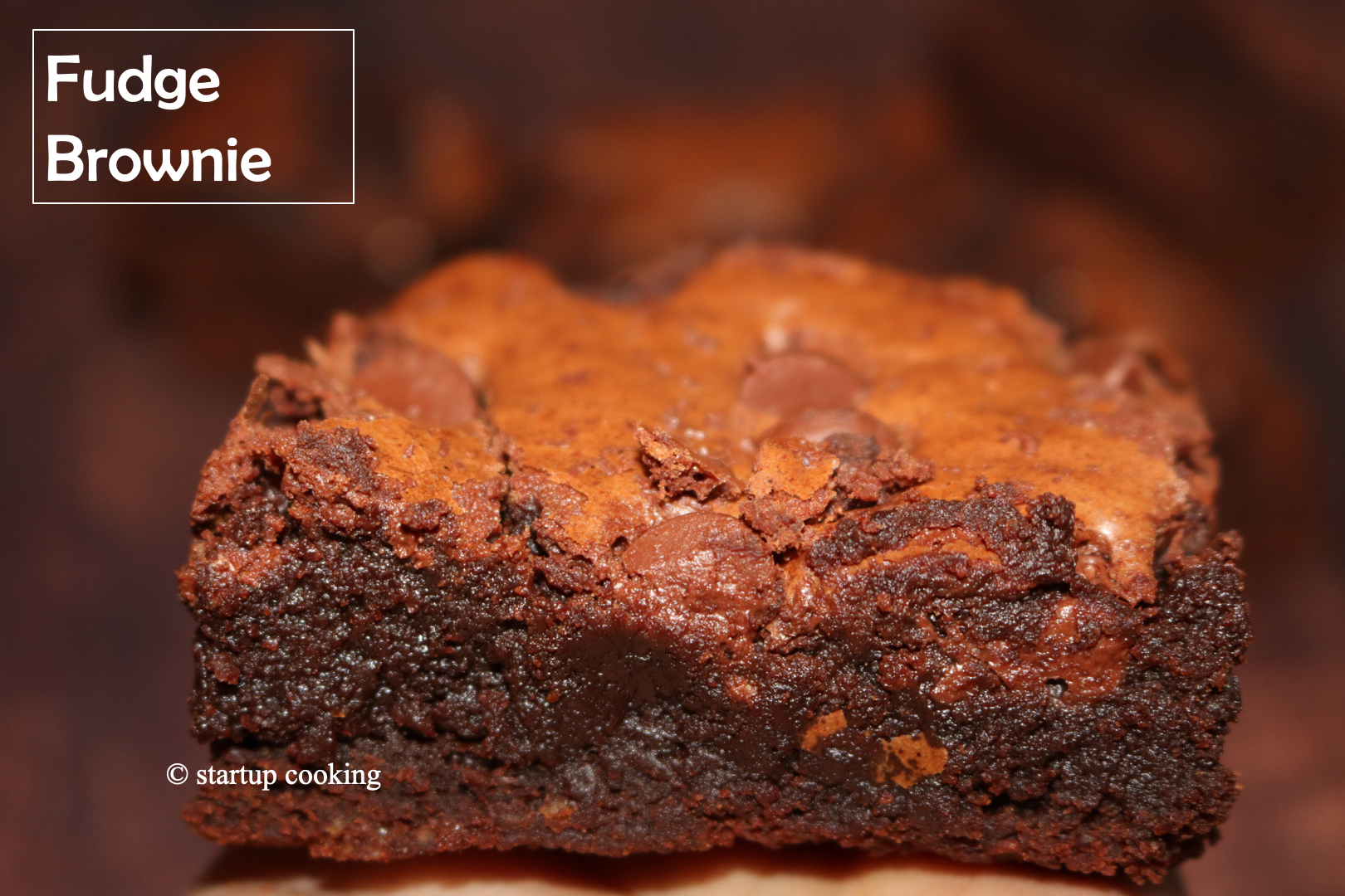 fudge brownie