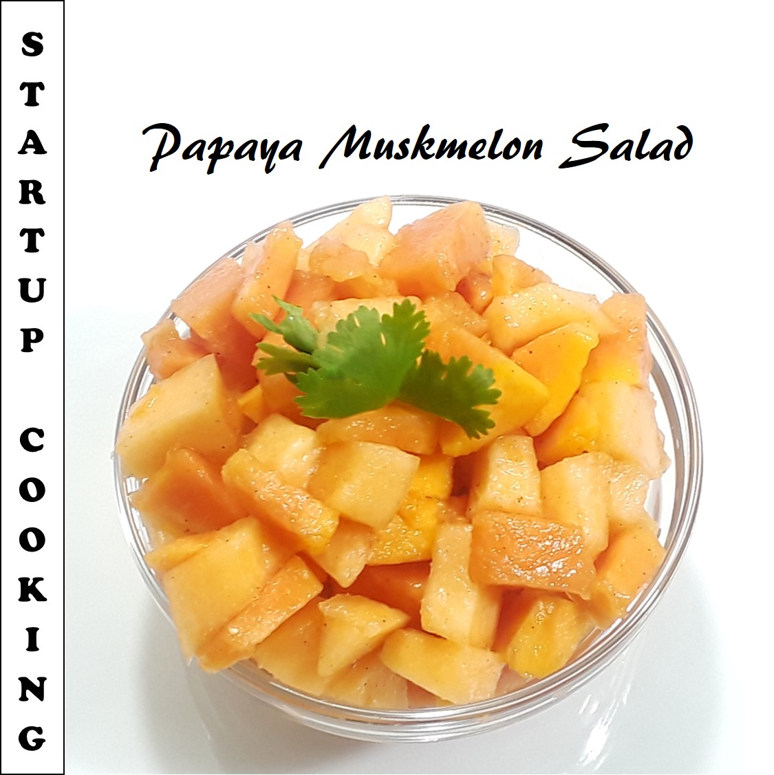 papaya muskmelon salad