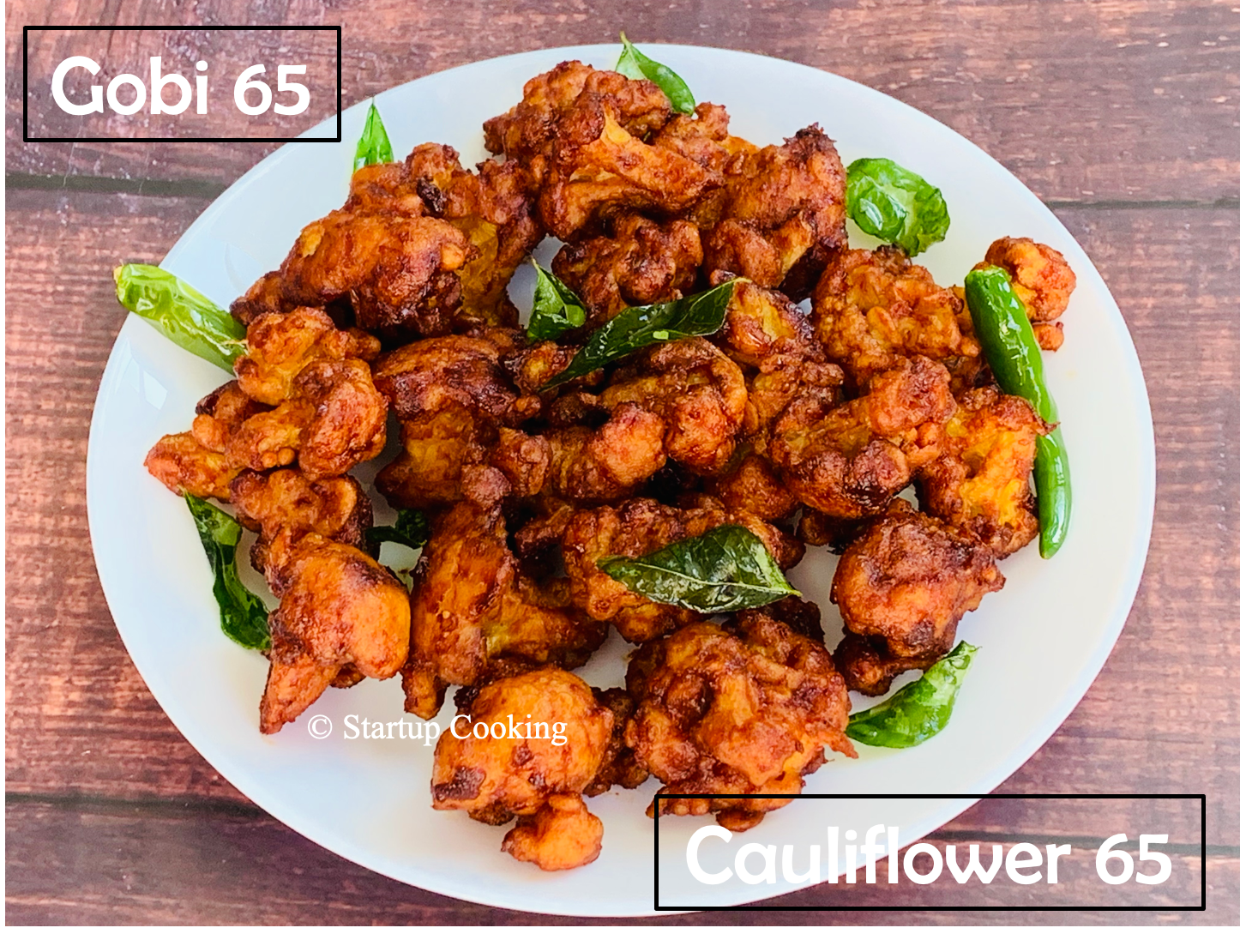 gobi 65