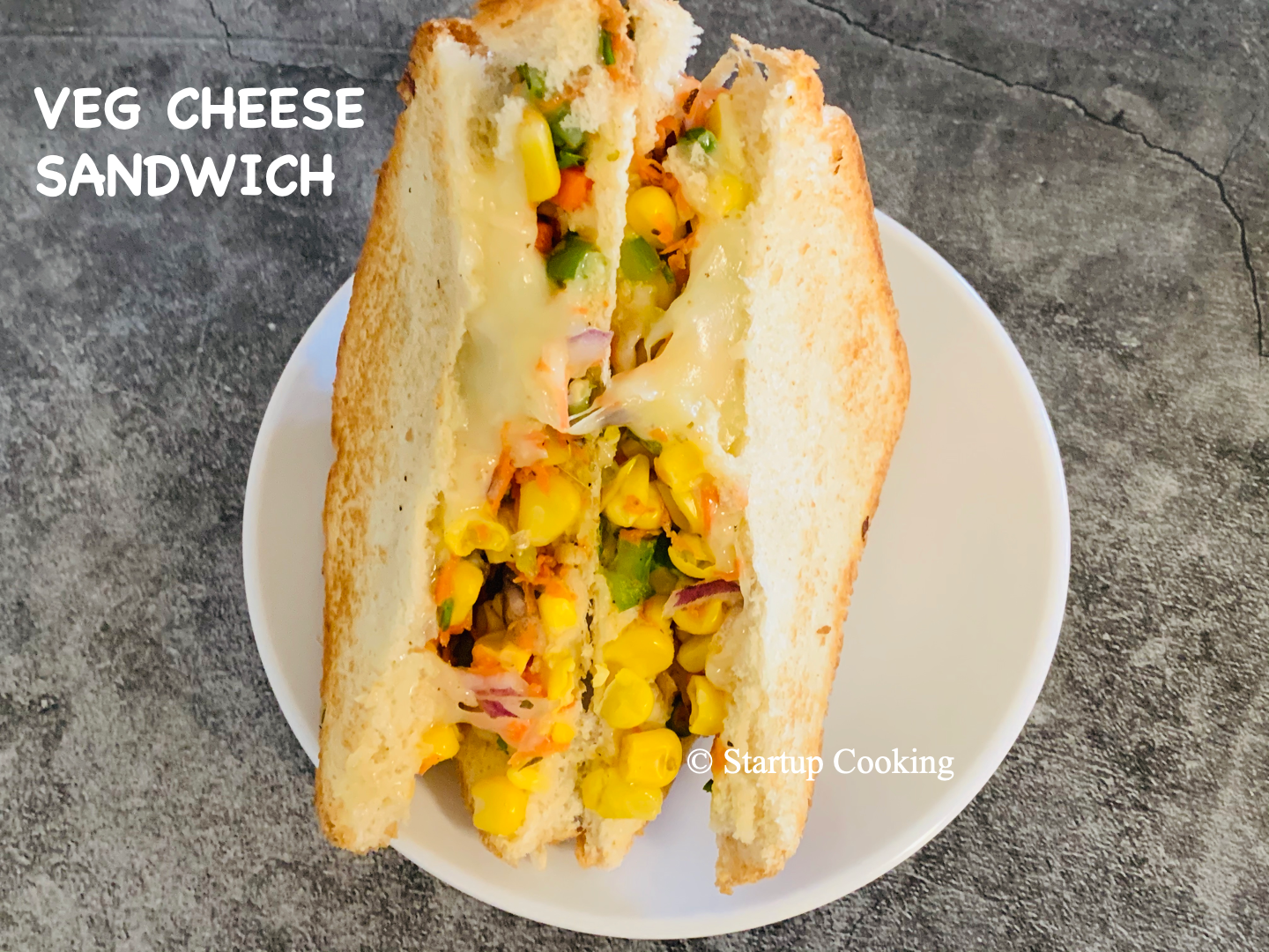 veg cheese sandwich