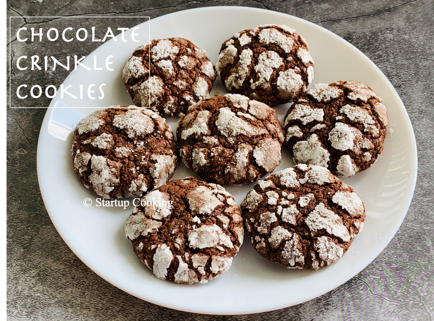 Chocolate Crinkle Cookies Recipe Chocolate Cookies Startup Cooking 1