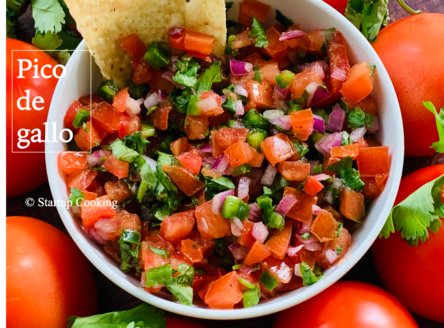 Authentic Pico De Gallo Recipe Startup Cooking 1