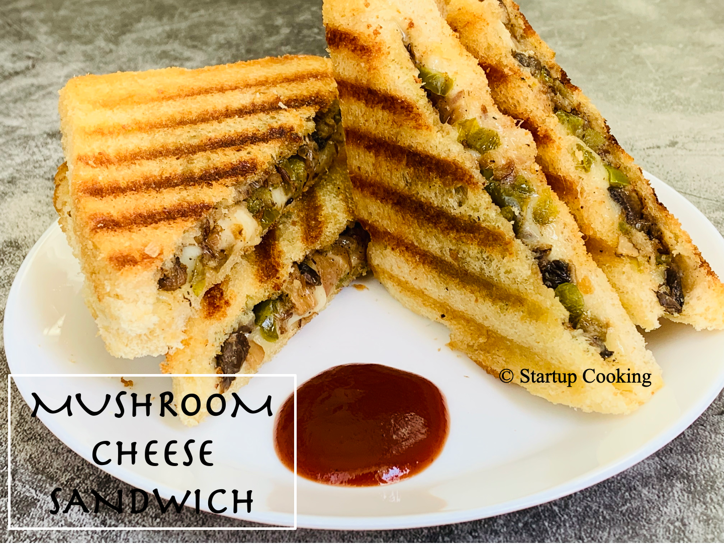 Mushroom Sandwich Recipe Grilled Mushroom Cheese Sandwich Recipe Startup Cooking 1