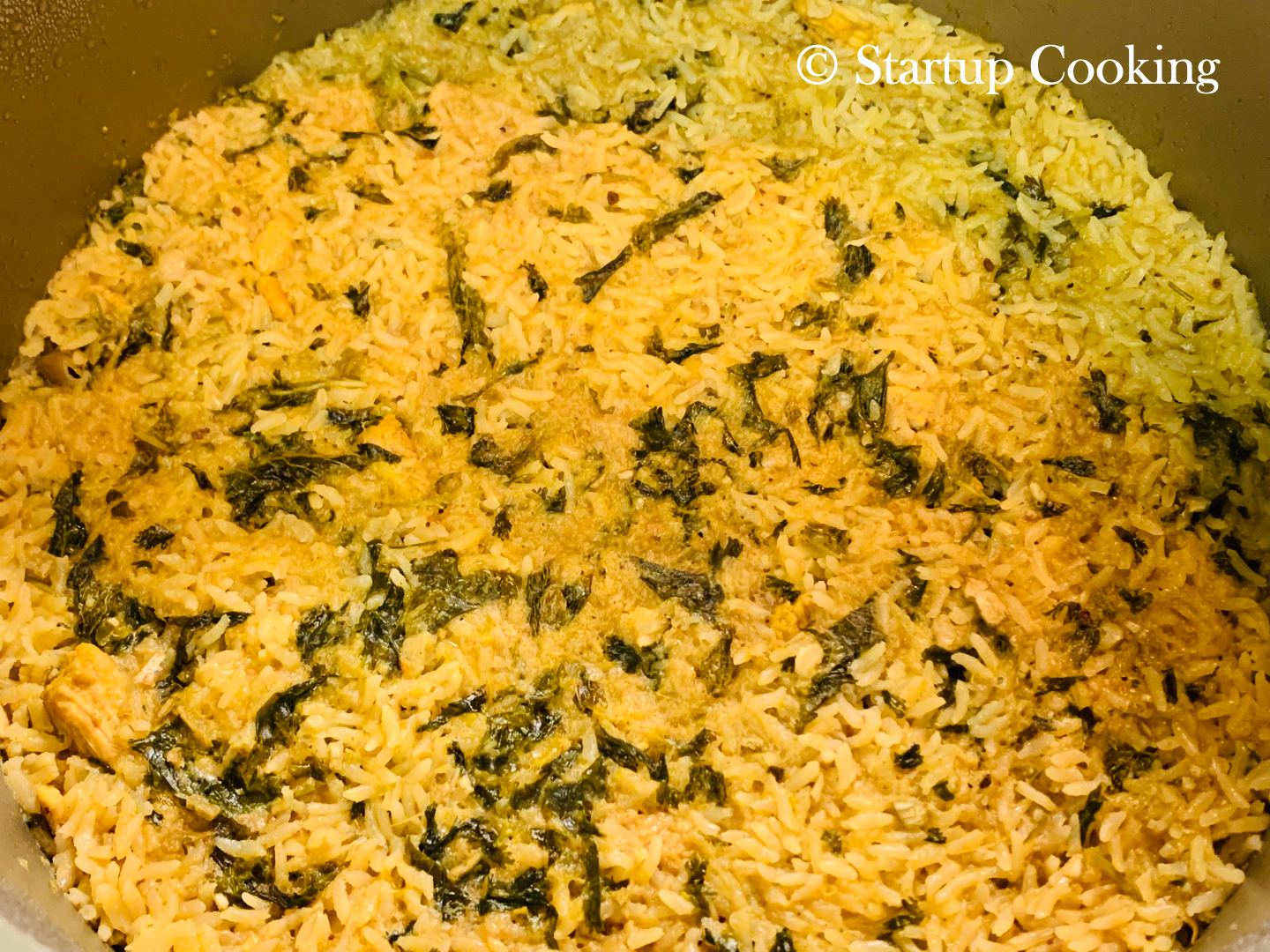 thalappakatti chicken biryani