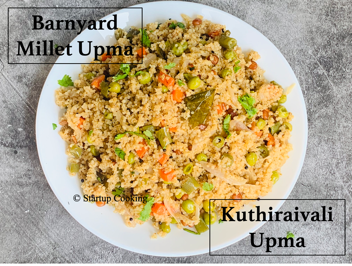 Barnyard Millet Upma Recipe Kuthiraivali Upma Startup Cooking 1