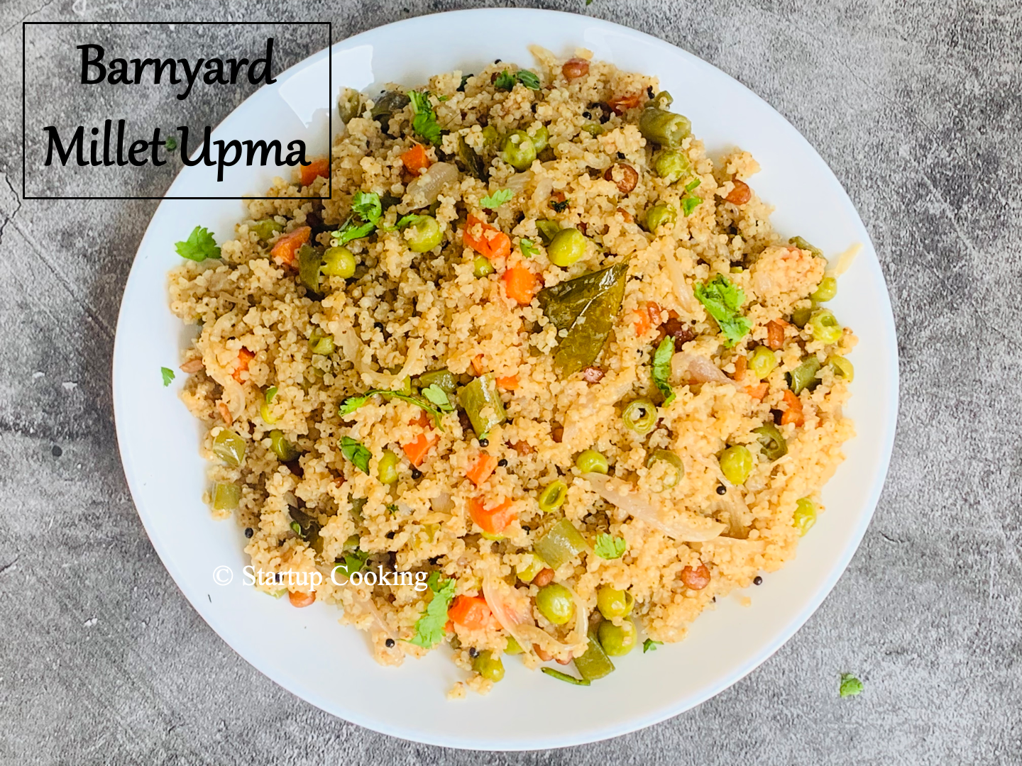 barnyard millet upma