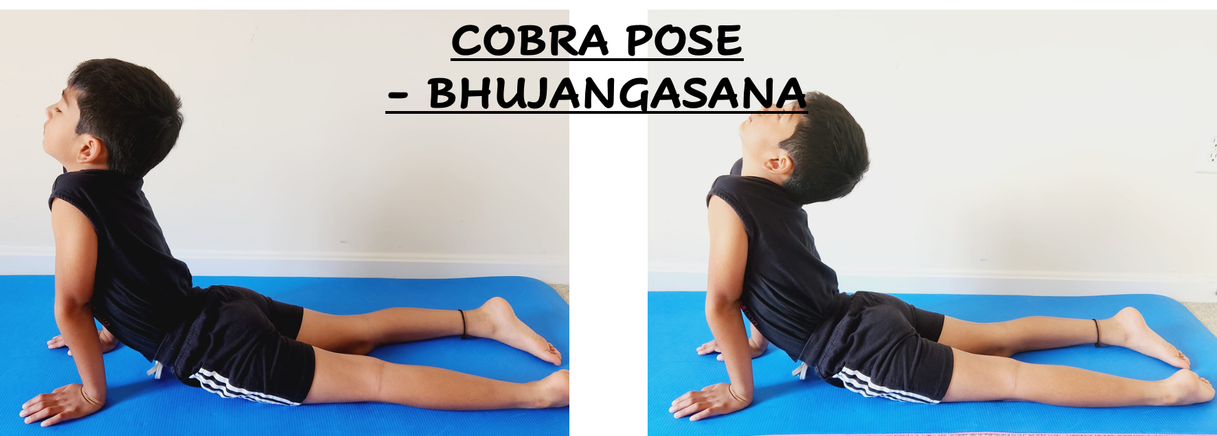 Bhujangasana Cobra Pose How To Do Cobra Pose 1