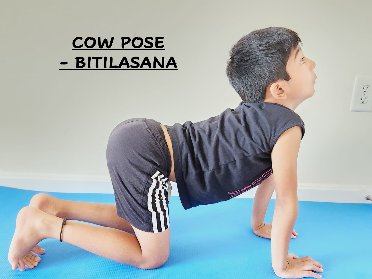 Bitilasana Cow Pose How To Do Cow Pose In Yoga 1