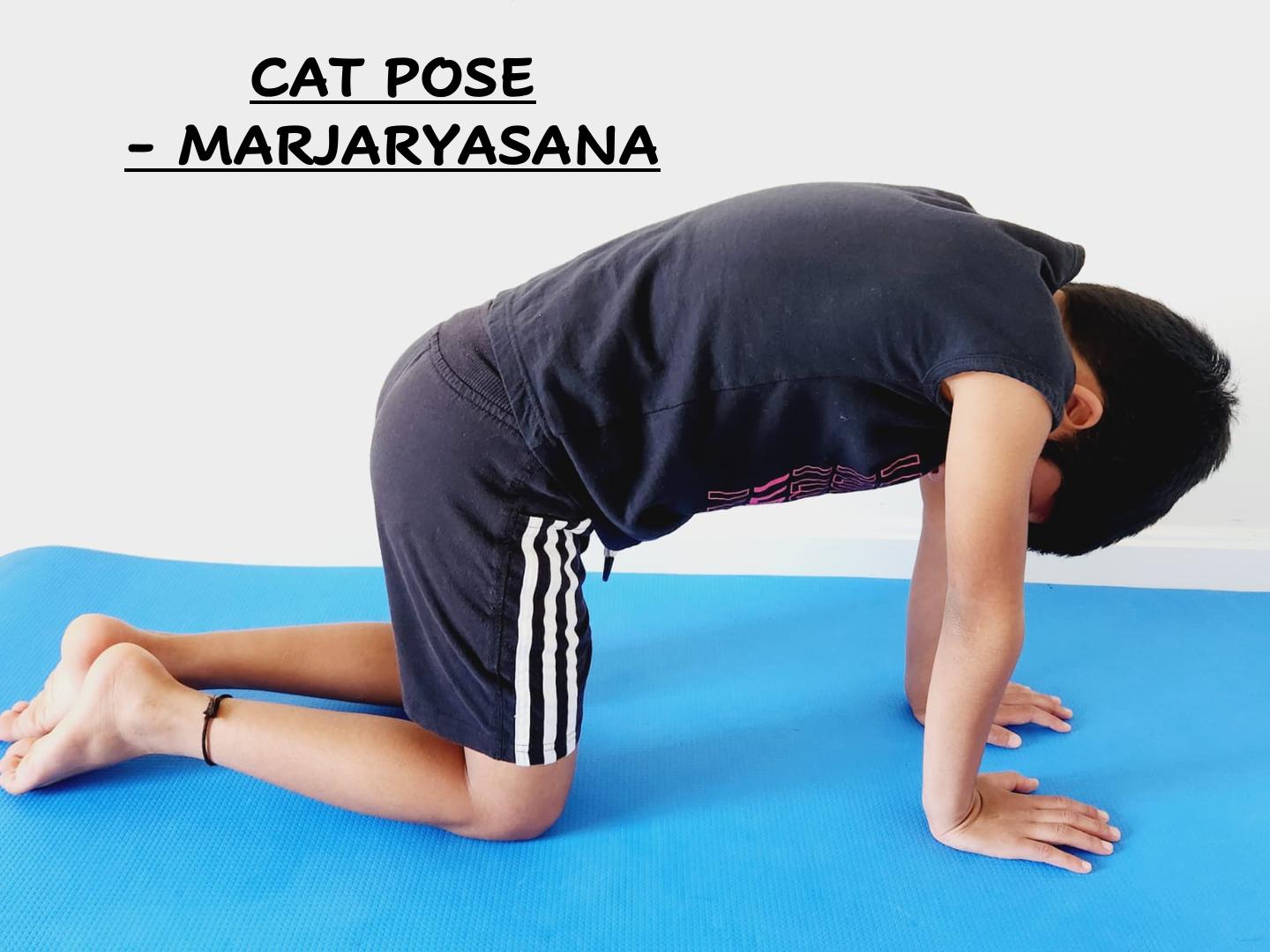 Marjaryasana Cat Pose How To Do Cat Pose In Yoga 1