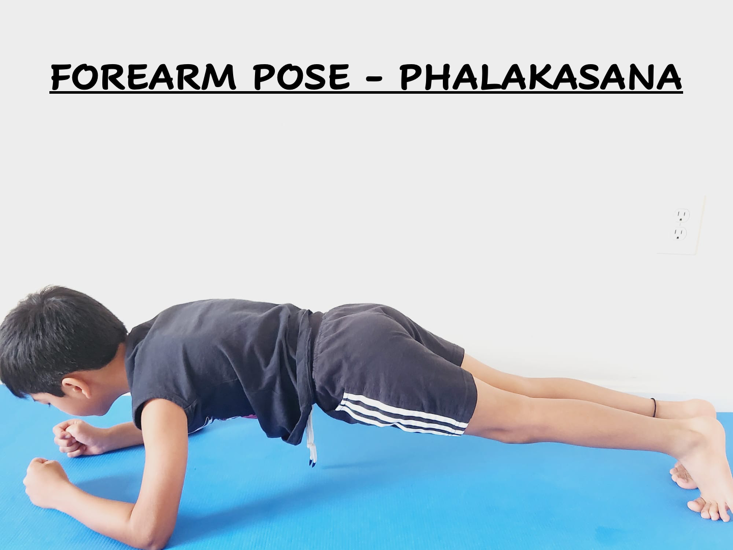 Plank Pose Phalakasana How To Do Plank Pose Yoga 1