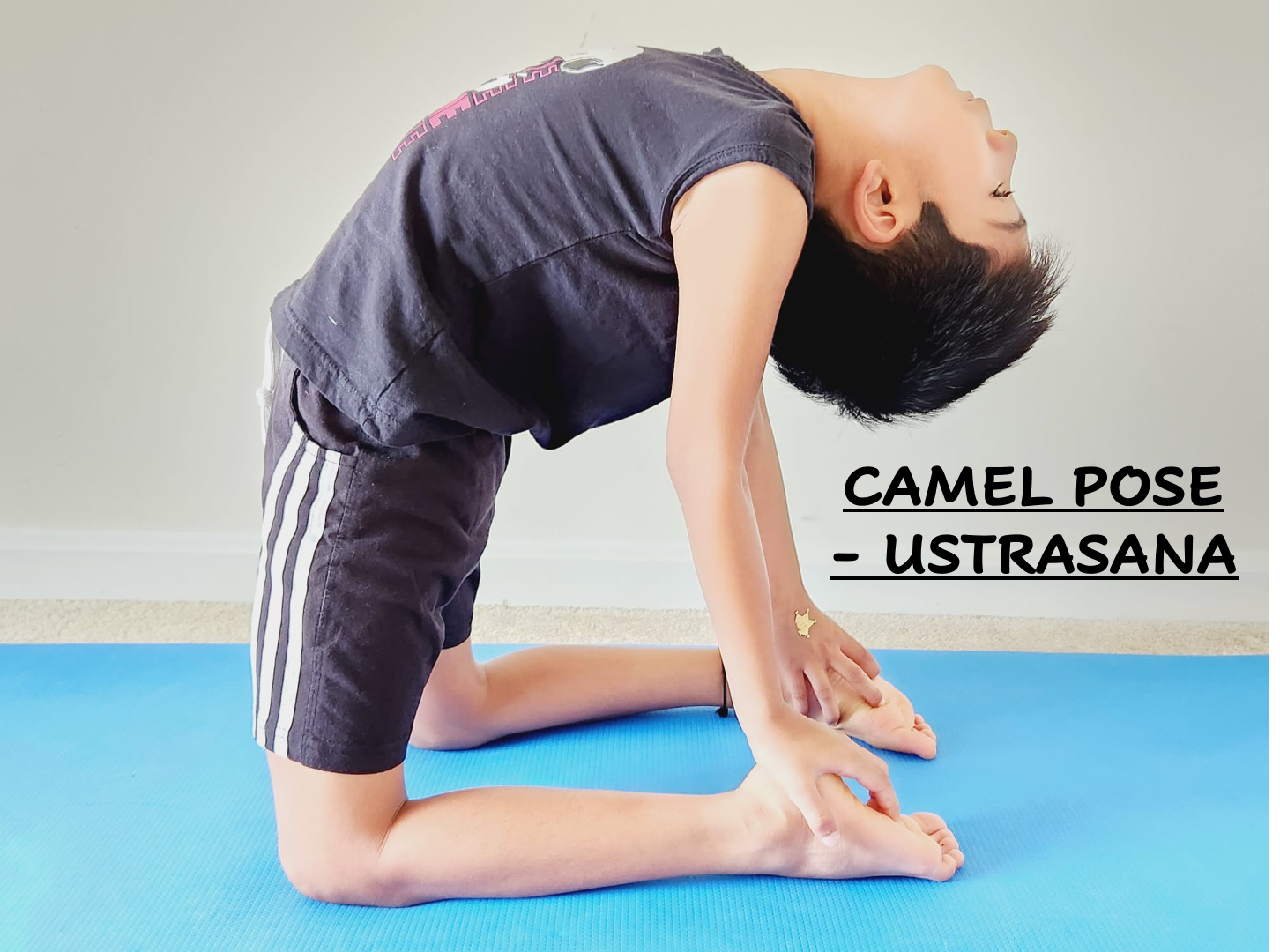 camel pose